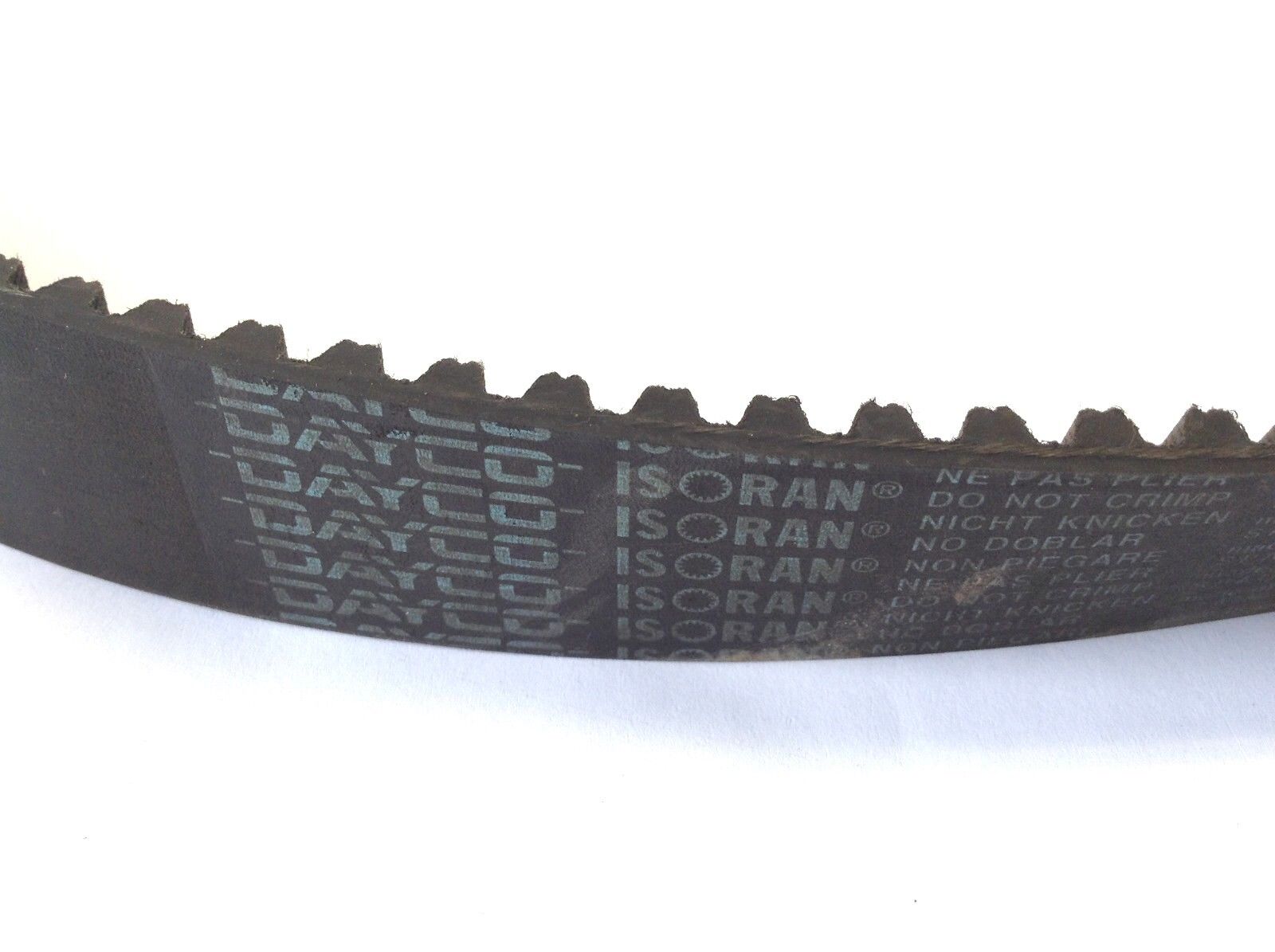DAYCO Isoran 1280 RPP8 125 Machine Drive Belt - Maverick Industrial Sales