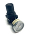 Wilkerson R00-01-R00 Miniature Pressure Regulator - Maverick Industrial Sales