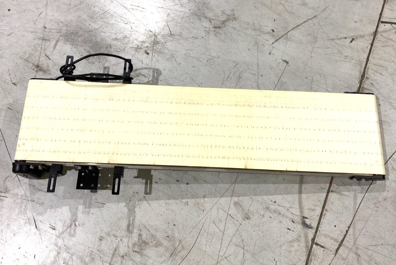 Brother GF12N030-BMLD1AX Induction Motor Flat Belt Conveyor 12.5" W x 53" L - Maverick Industrial Sales