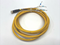 Pilz 533121 Connection Cable Female 4-Pin M8 6' CUT - Maverick Industrial Sales