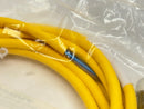 Turck RKM 40-5M Minifast Power Cable Female 7/8"-16 UN 4-Pin 5m U2045-05 - Maverick Industrial Sales