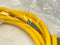 Turck RKM 40-5M Minifast Power Cable Female 7/8"-16 UN 4-Pin 5m U2045-05 - Maverick Industrial Sales