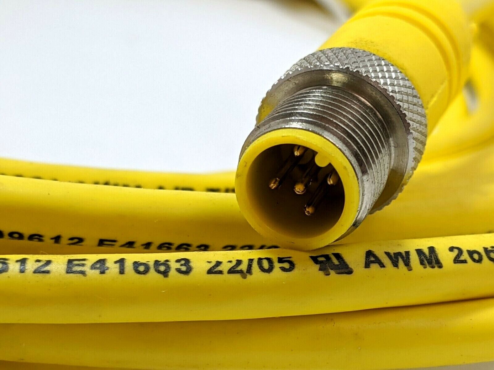 Lumberg Automation RST 5-612/5M Cordset 5 Pole 600000615 CUT - Maverick Industrial Sales