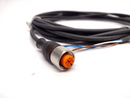 Lumberg Automation RKT 4-225/5 M Sensor Cable - Maverick Industrial Sales