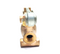 Schrader 1196BW Roller Operated Brass Poppet Valve 3/8" NPT 01196 0089 - Maverick Industrial Sales