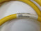 Turck CSWM CKWM 12-10-3/S101/BL67 Flex Life 12 Pin M/F Cordset U-14290 - Maverick Industrial Sales