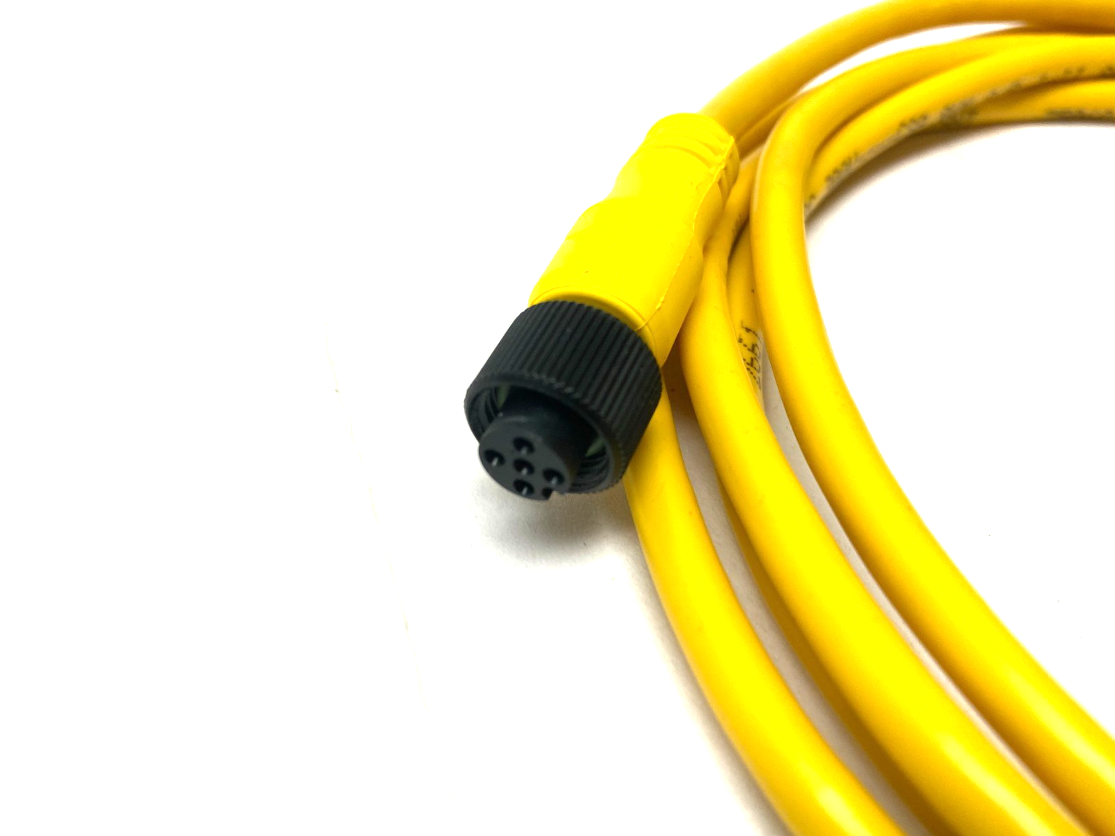 Allen Bradley 889D-F5FC-J2 Ser. B Straight DC Micro QD Cordset 5-Pin Female - Maverick Industrial Sales