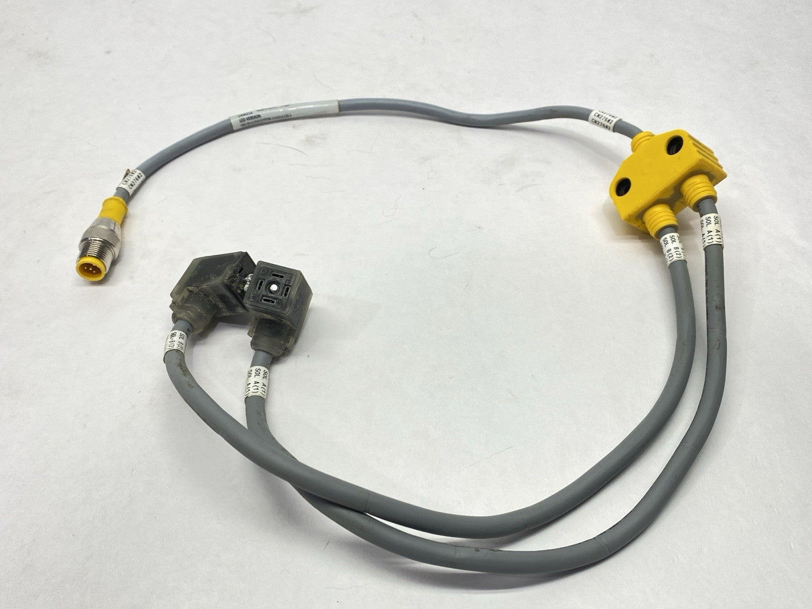 Turck VB2-RS 4.5T-0.3/2TC9S 2-L653-0.3/0.3 Junction Splitter Cable UX00218 - Maverick Industrial Sales