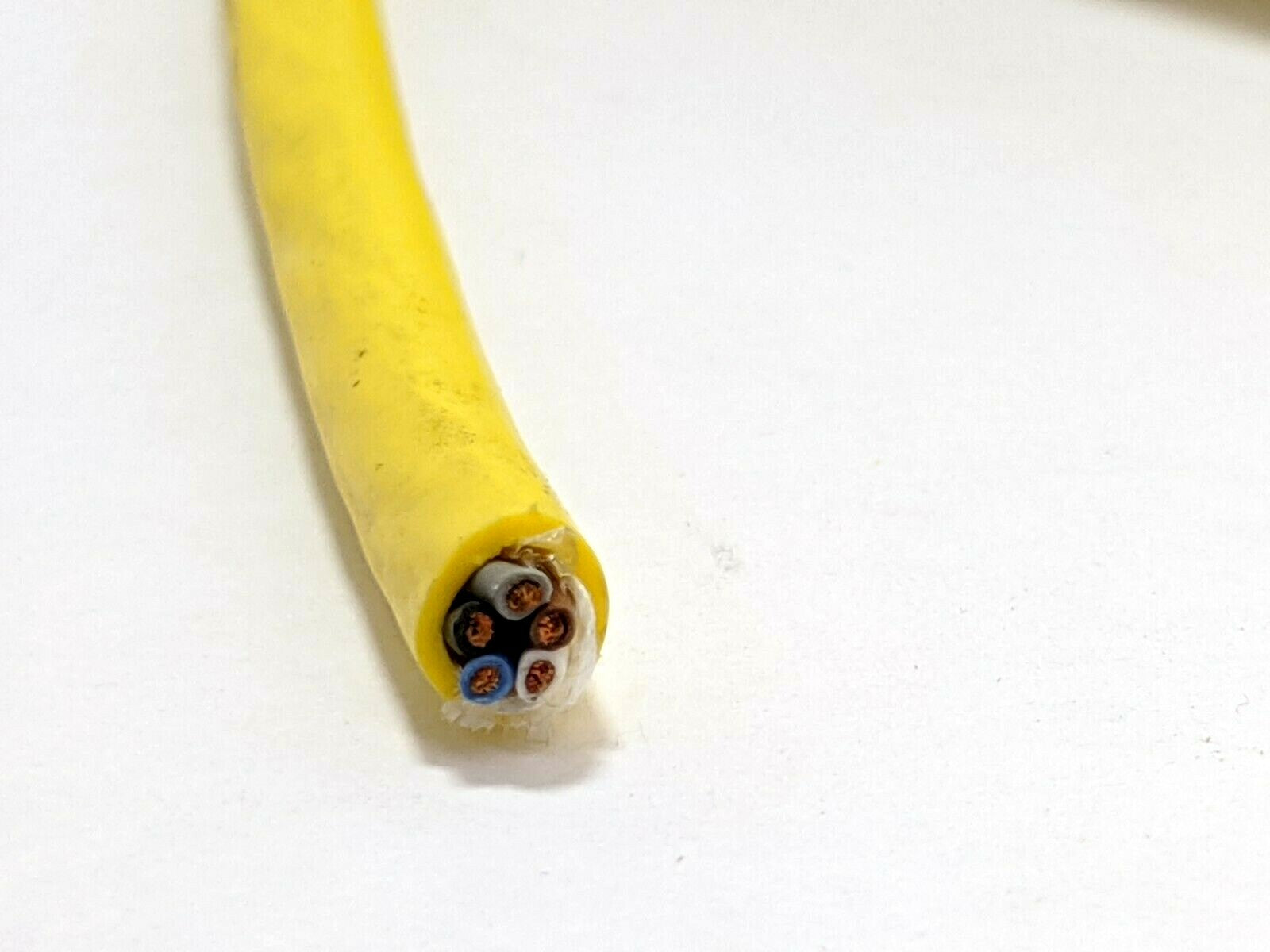 Lumberg Automation RST 5-612/5M Cordset 5 Pole 600000615 CUT - Maverick Industrial Sales