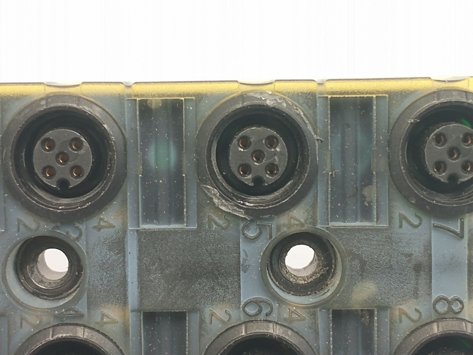 Murr Elektronik 8000-88510-3980500 Exact12 8xM12 5-Pole CABLE CUT TO 7 FEET - Maverick Industrial Sales