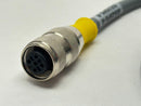 Turck RK 4T-6 Sensor/Actuator Cable Female M12 3-Pin 6m U2159 - Maverick Industrial Sales