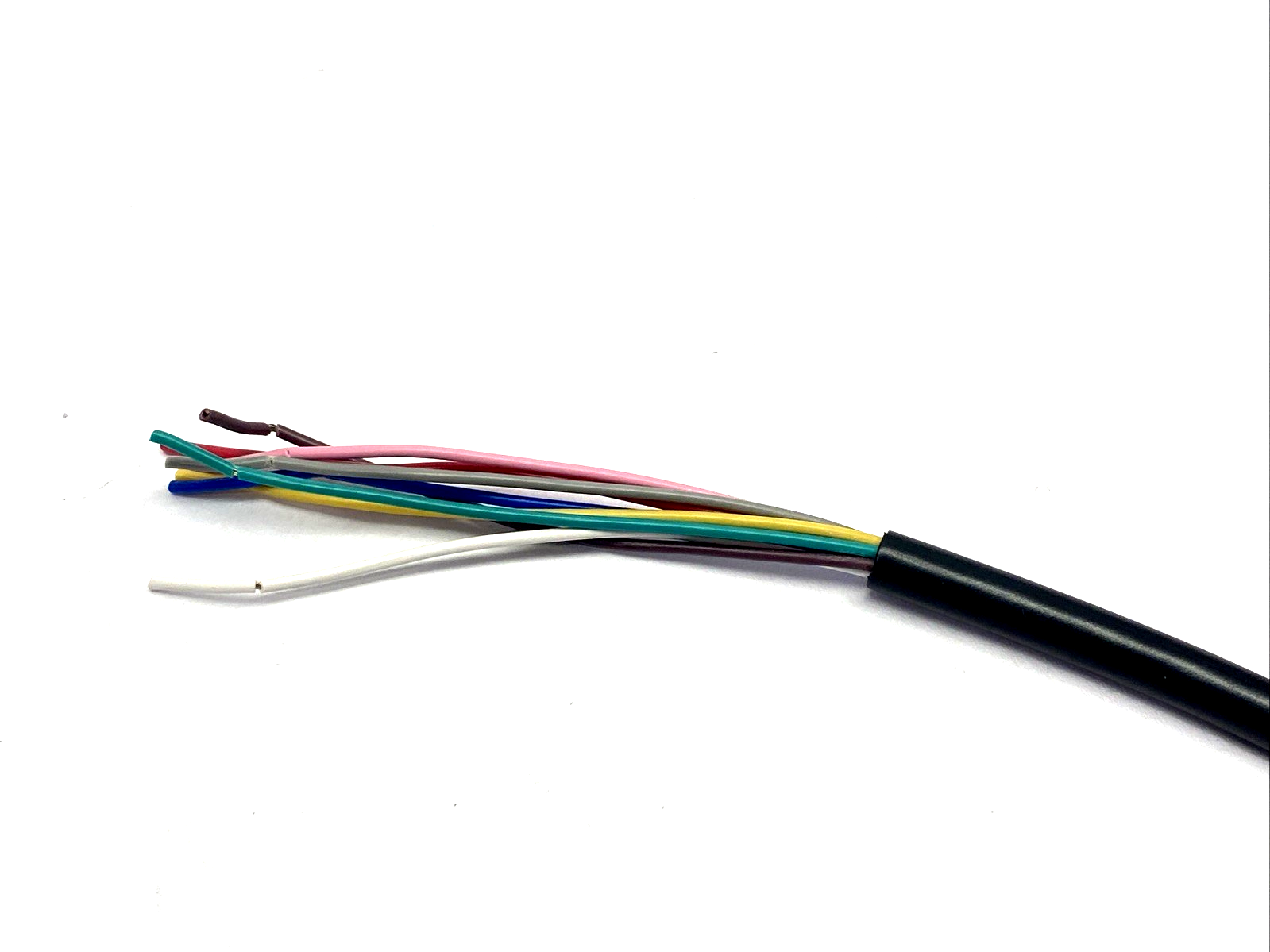 Allen Bradley 889D-R8AB-5 Ser. B DC Micro Cable M12 Right Angle 8-Pin Female 5m - Maverick Industrial Sales