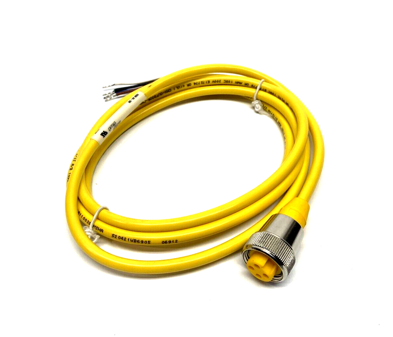 Turck RKM 40-2M Actuator & Sensor Cable 7/8" 4-Pin Female 2m, U2043 - Maverick Industrial Sales