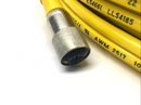 Turck KB 4T-30 Single-Ended MicroFast Cordset M12 Female Connector U2490-1 - Maverick Industrial Sales