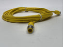 Lumberg Automation RST 4-RKT 4-633/5M Actuator Sensor Cable M/F M12 4-Pin 5m - Maverick Industrial Sales