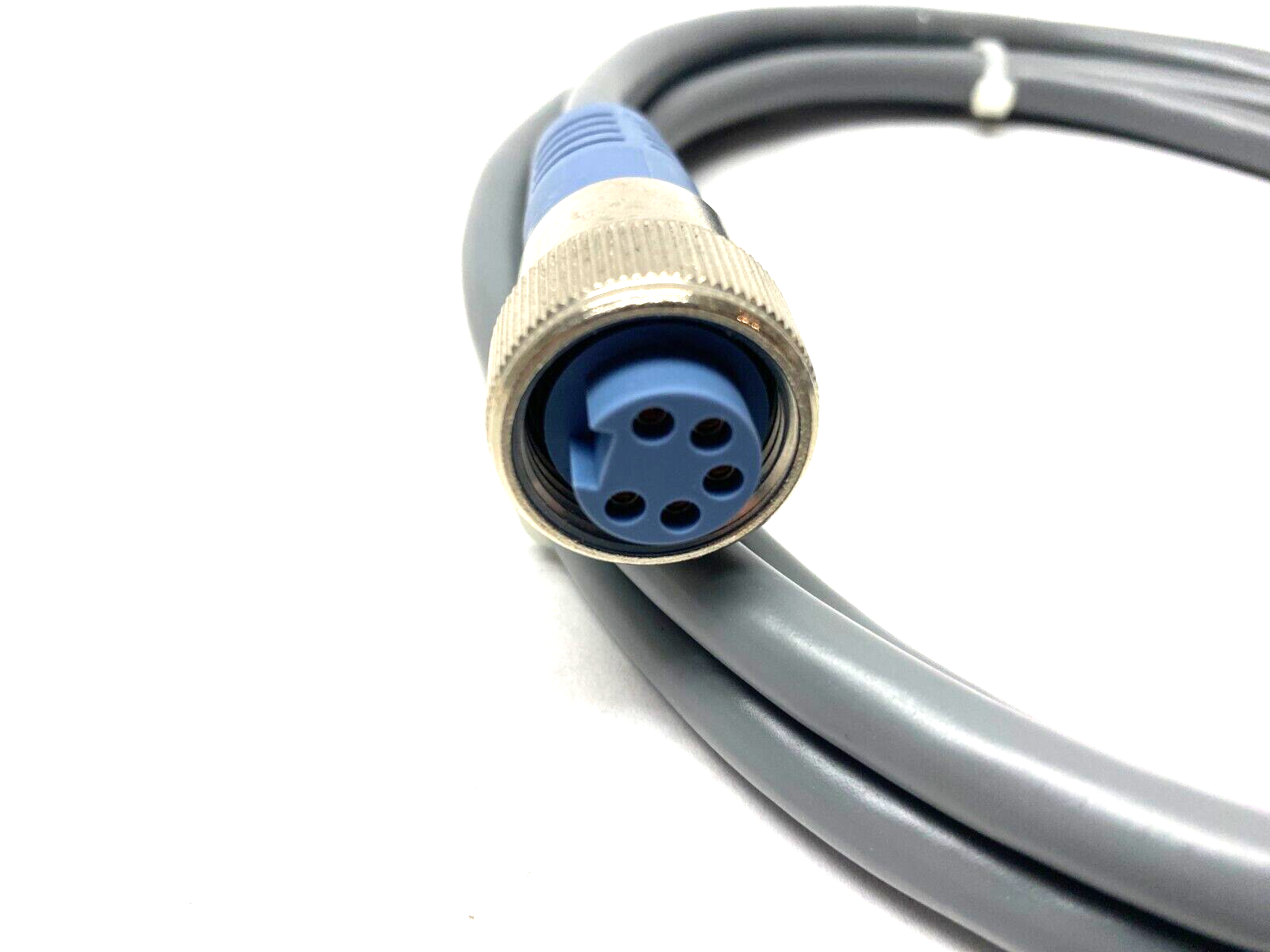 Turck RKM 5731-2M DeviceNet Minifast Single Ended Cordset U-13948 - Maverick Industrial Sales