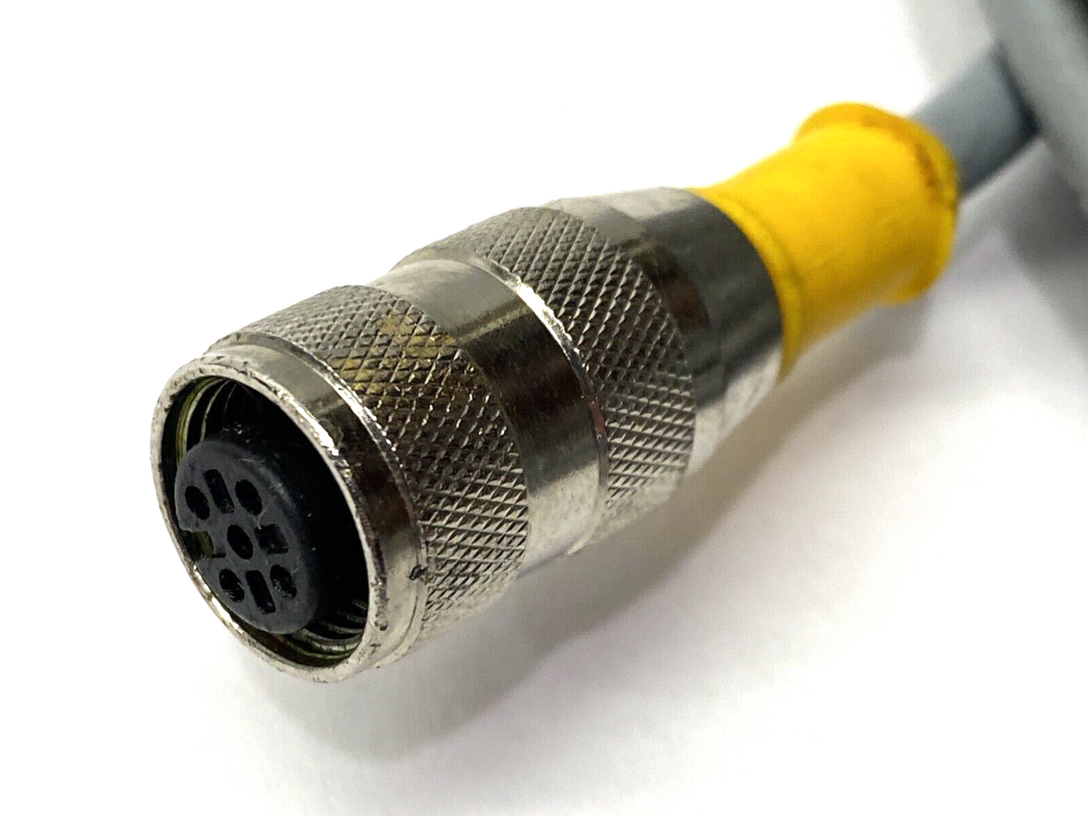 RK 4.4T-5-WS 4.4T, U8062 | Turck RK 4.4T-5-WS 4.4T M12 Eurofast Double-Ended Cordset U8062 - Used - Maverick Industrial Sales