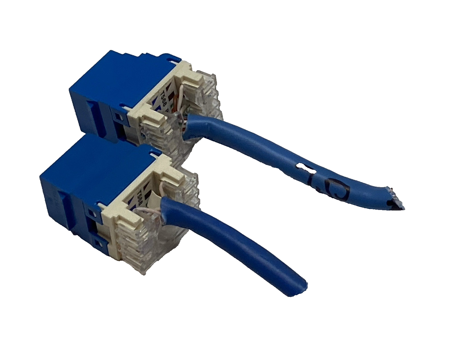 Panduit NK688MBU NetKey Cat6 RJ45 Keystone Jack, UTP Blue LOT OF 2 - Maverick Industrial Sales