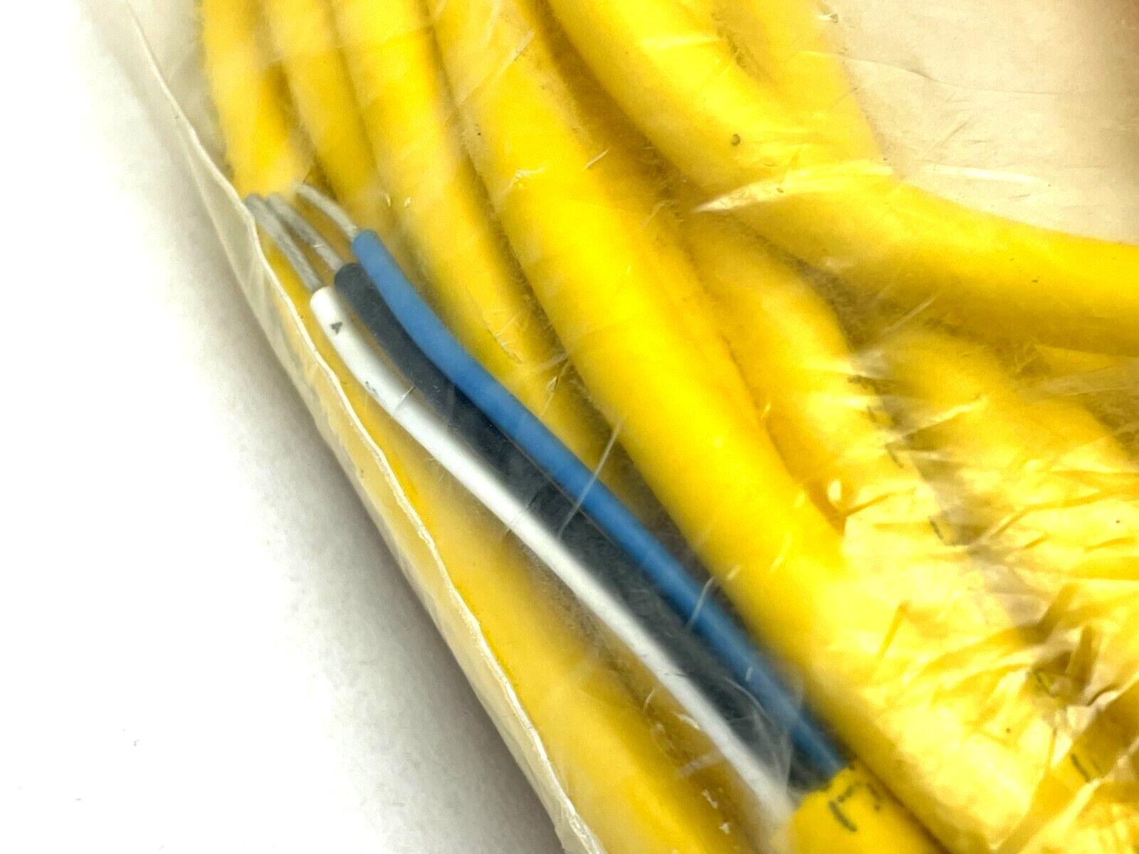 Turck WKM 40-10M Single-Ended Cordset 10m Length U2327-01 - Maverick Industrial Sales