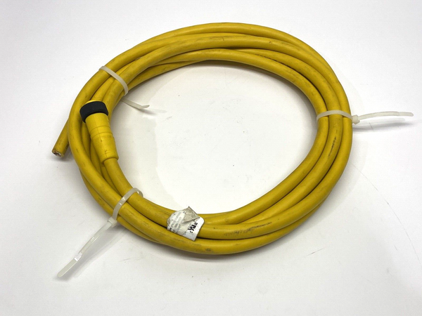 Lumberg Automation 500002861 Single-Ended 5-Pin Female Cordset RK 50-777/15F - Maverick Industrial Sales