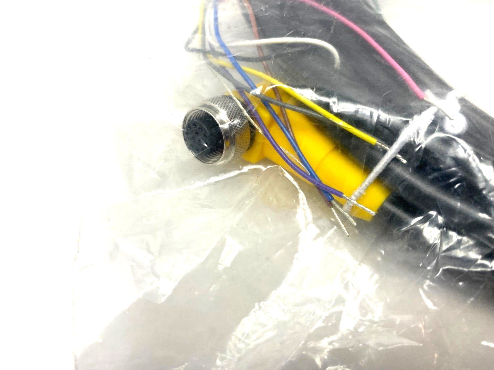Turck WKC 10T-5/S3477 Eurofast Right Angle Single Ended Cordset, 100007496 - Maverick Industrial Sales