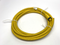 Lumberg Automation 500002861 Single-Ended 5-Pin Female Cordset RK 50-777/15F - Maverick Industrial Sales