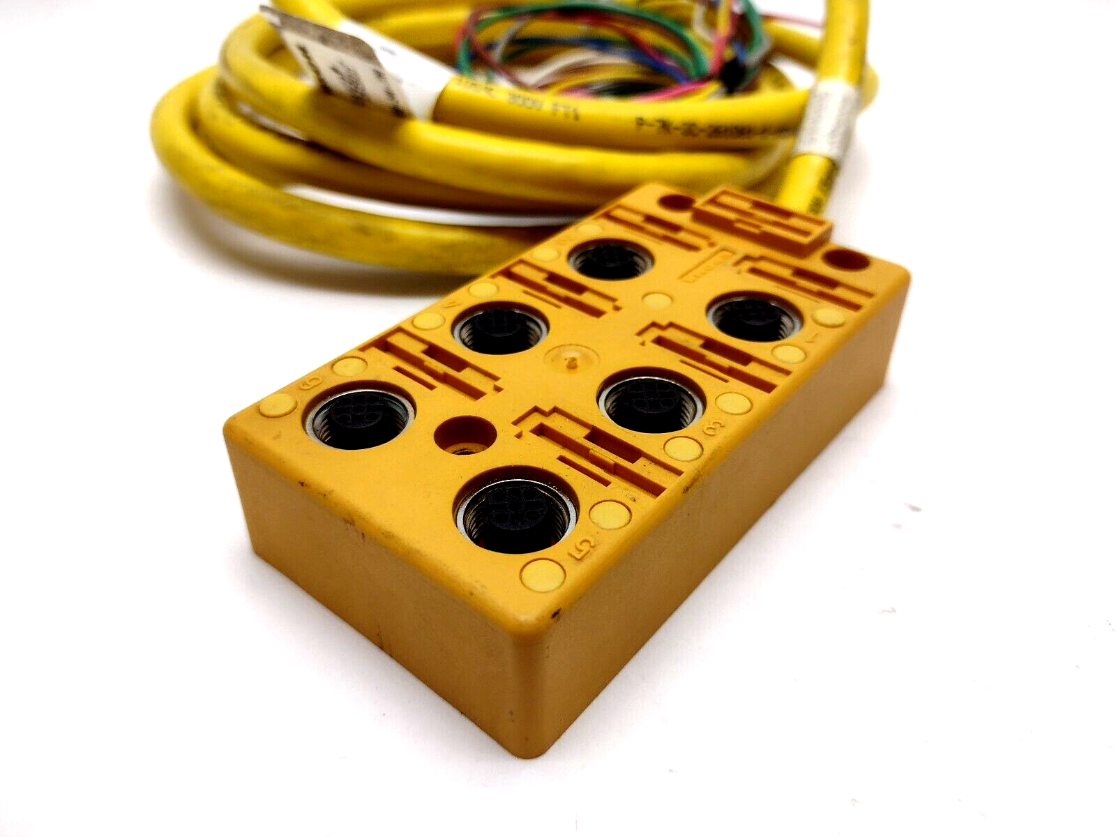 Turck VB 60-5 6-port Multi Box 48V Female M12x1 U7010, 8FT Home Run Cable - Maverick Industrial Sales