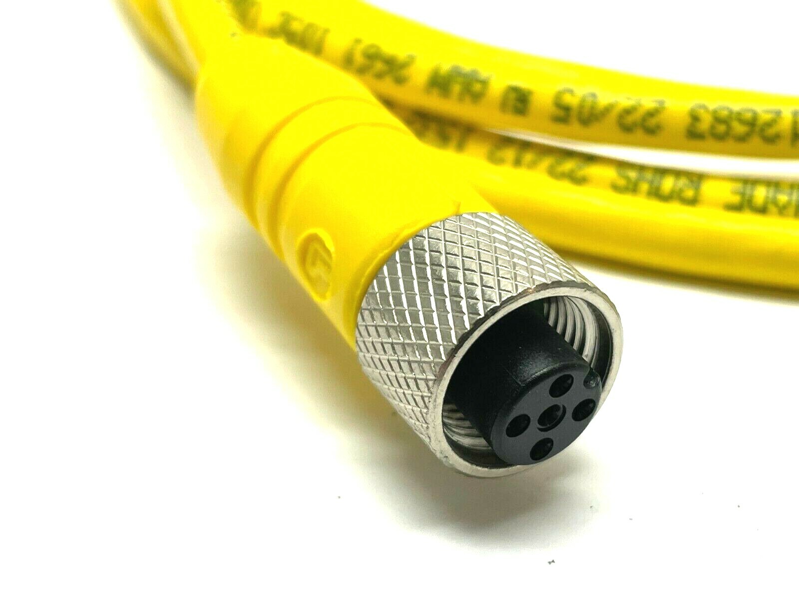 Lumberg Automation RKT 5-612/2M Cordset 5-Pole M12 Female 6ft Length - Maverick Industrial Sales