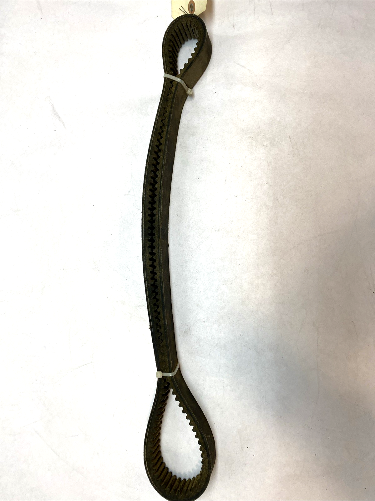 1922V454 Toothed Belt - Maverick Industrial Sales