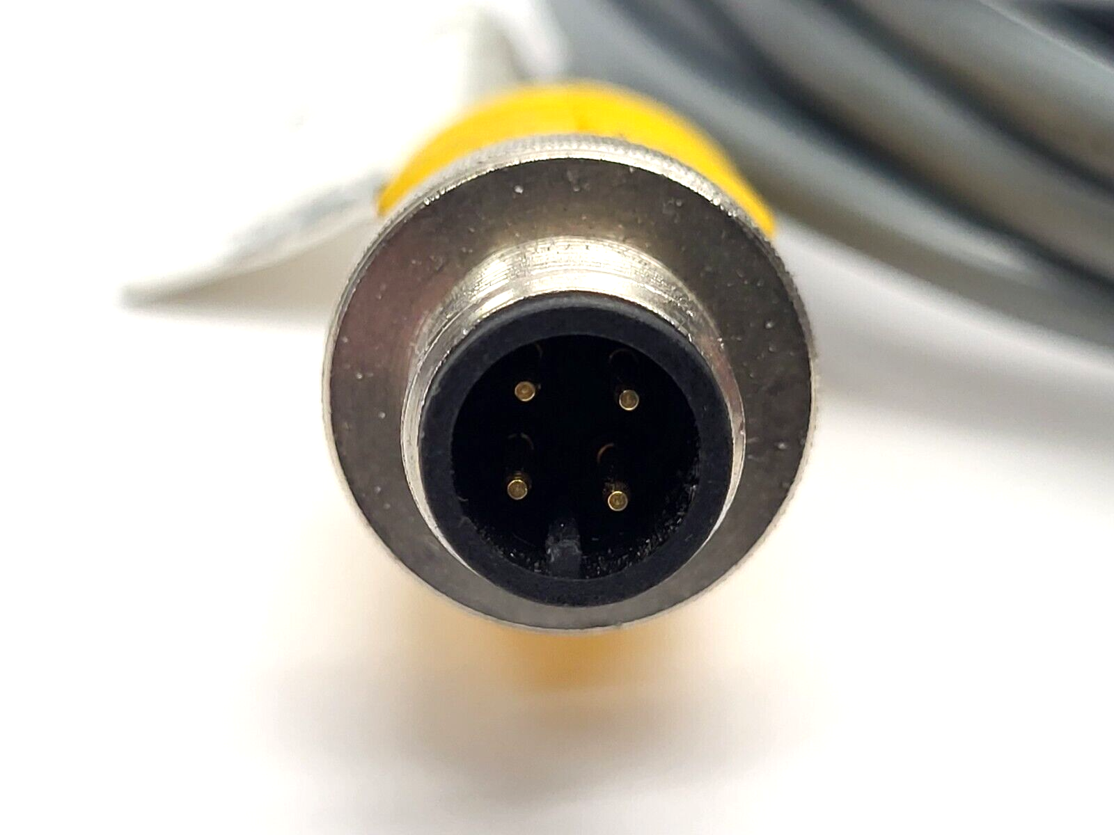 Turck VBRS 4.4-2RK 4T-1.5/1.5 Cordset U0891-48 - Maverick Industrial Sales