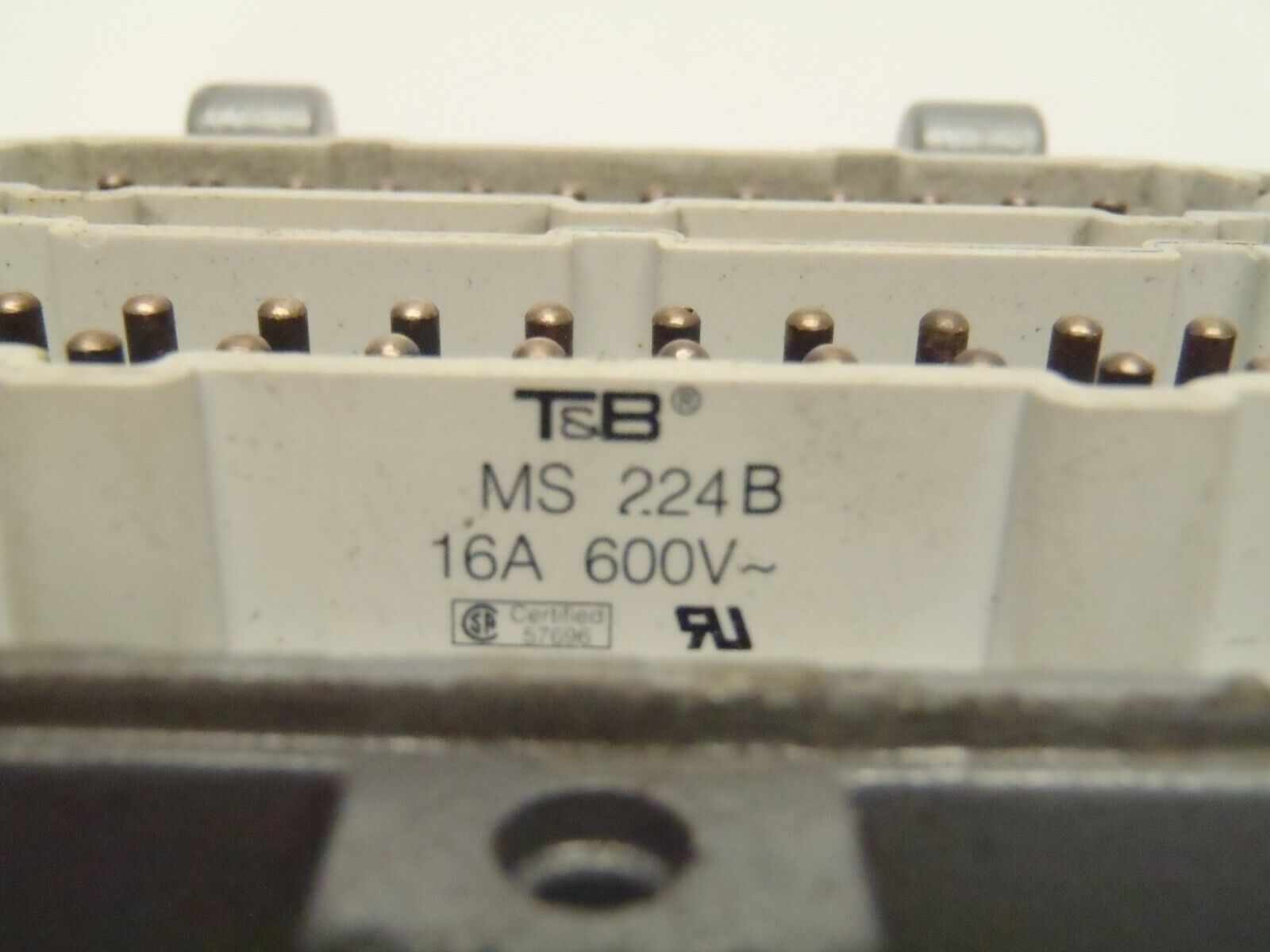 Thomas & Betts 5-3/4" x 4-5/8" Base w/ 1) MS248B 1) MS224B Pos-E-Con Connectors - Maverick Industrial Sales