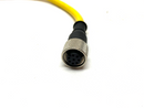 Banner DEE2R-81D Cable Assembly Cordset Double Ended 72205 - Maverick Industrial Sales