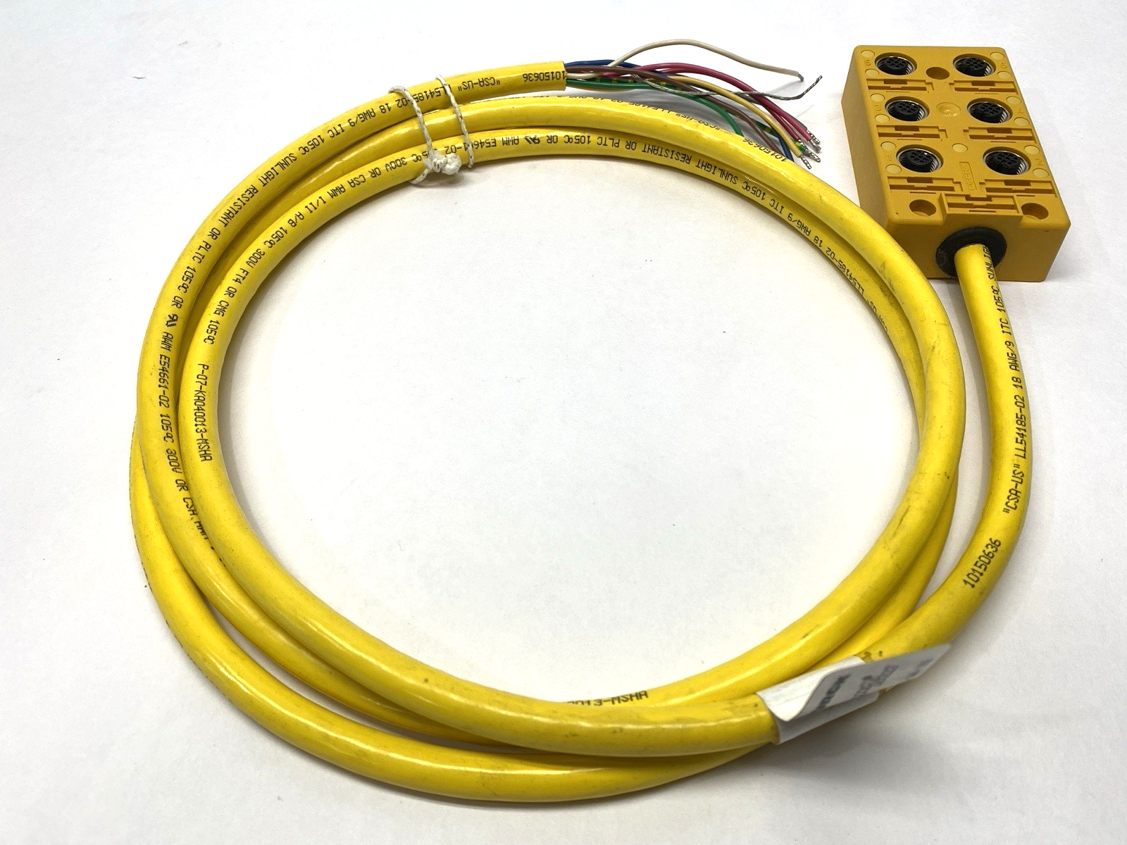 Turck VB 60-2 Junction Box 6-Port w/ Cable M12 Eurofast U7010-3 - Maverick Industrial Sales