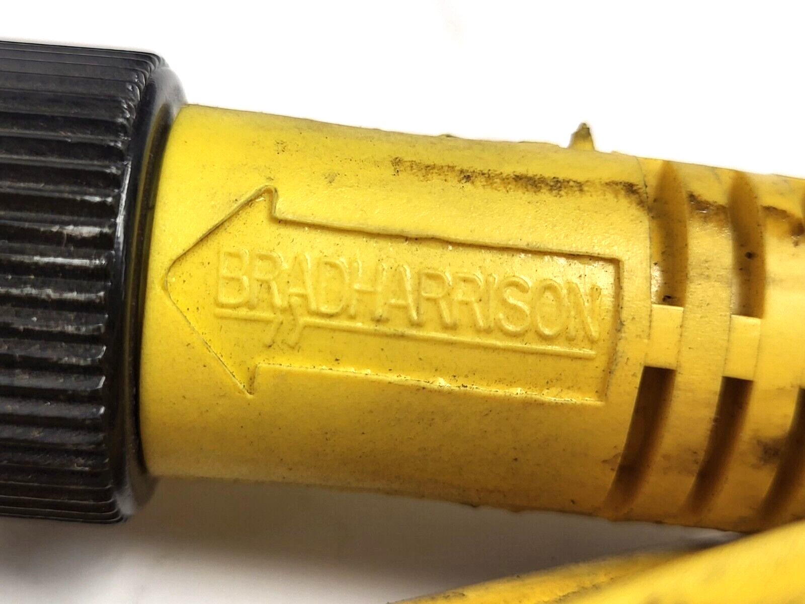 Brad Harrison 105000C01F200 5-Pin Female Connector 2' Cable - Maverick Industrial Sales