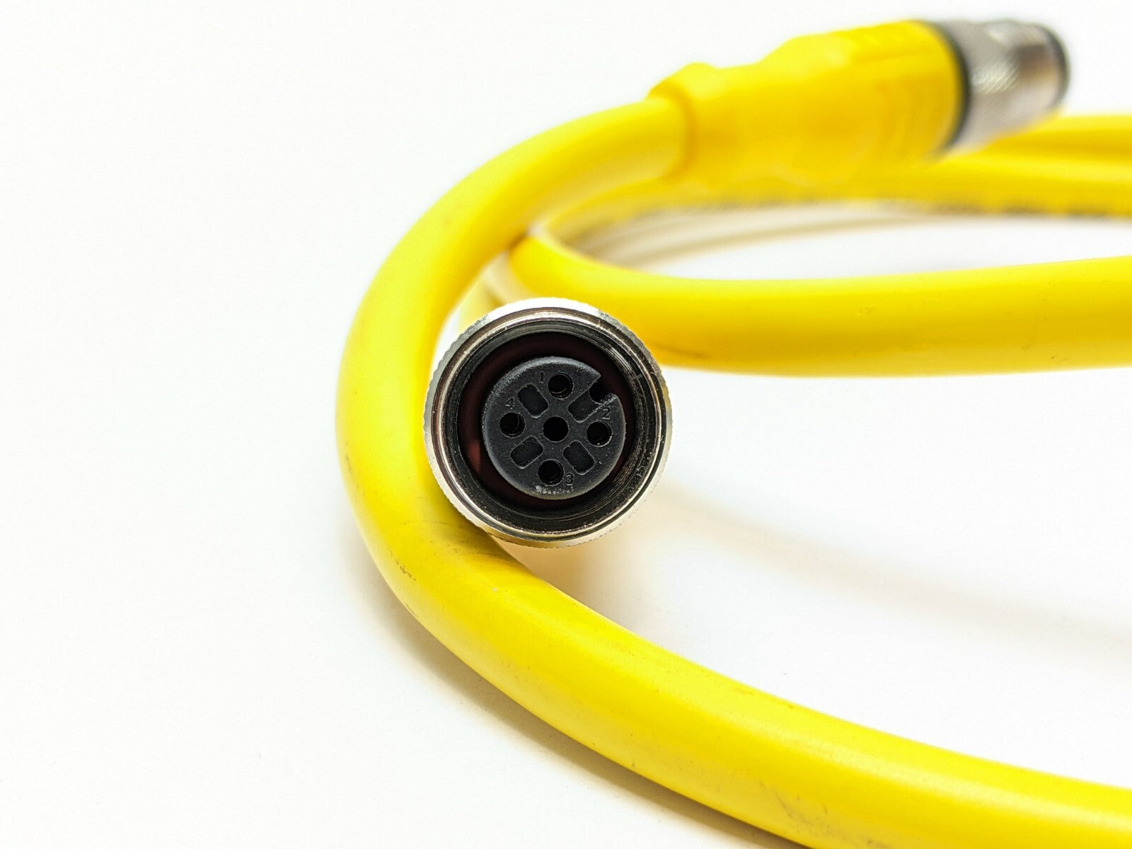 Turck RKC 4.4T-1-RSC 4.4T EuroFast Cable Assembly U5262 - Maverick Industrial Sales