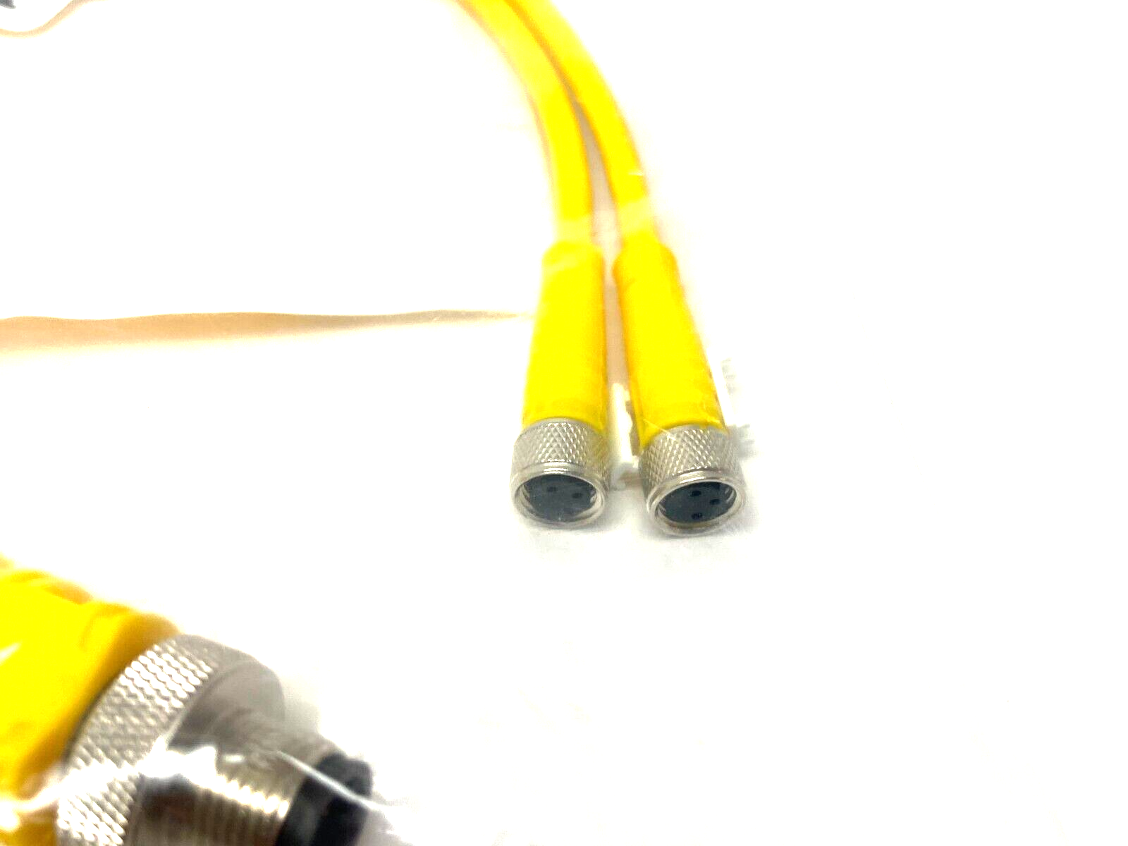 Turck VBRS 4.4-2PKG 3M-0.3/0.3 Molded Twin Junction Cable, U0117-3 - Maverick Industrial Sales