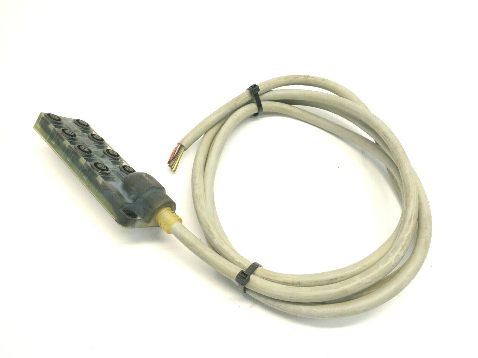 Murr Elektronik 8000-88510-3980500 Exact12 8xM12 5-Pole CABLE CUT TO 7 FEET - Maverick Industrial Sales