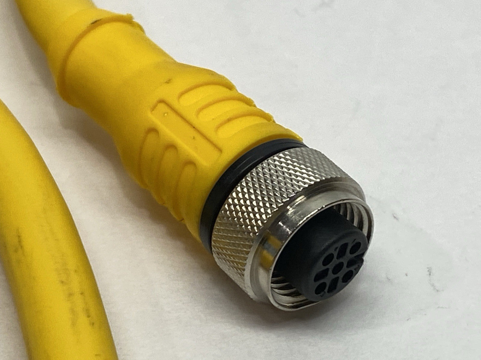 Turck RKC 4.5T-10/CS14274 Single Ended Cordset Female M12 5-Pin 10m U2-22254 - Maverick Industrial Sales
