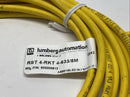 Lumberg Automation RST 4-RKT 4-633/5M Actuator Sensor Cable M/F M12 4-Pin 5m - Maverick Industrial Sales