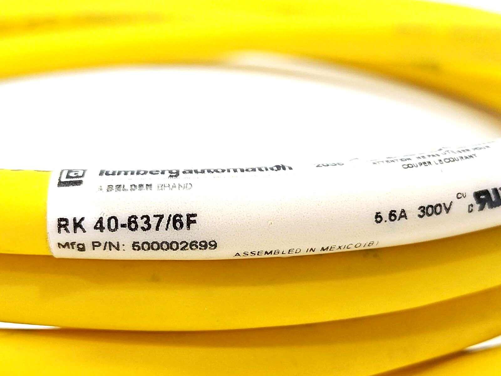 500002699, RK 40-637/6F | Lumberg Automation RK 40-637/6F Single End Cordset 7/8" Female 6FT 500002699 - New – Open Box - Maverick Industrial Sales