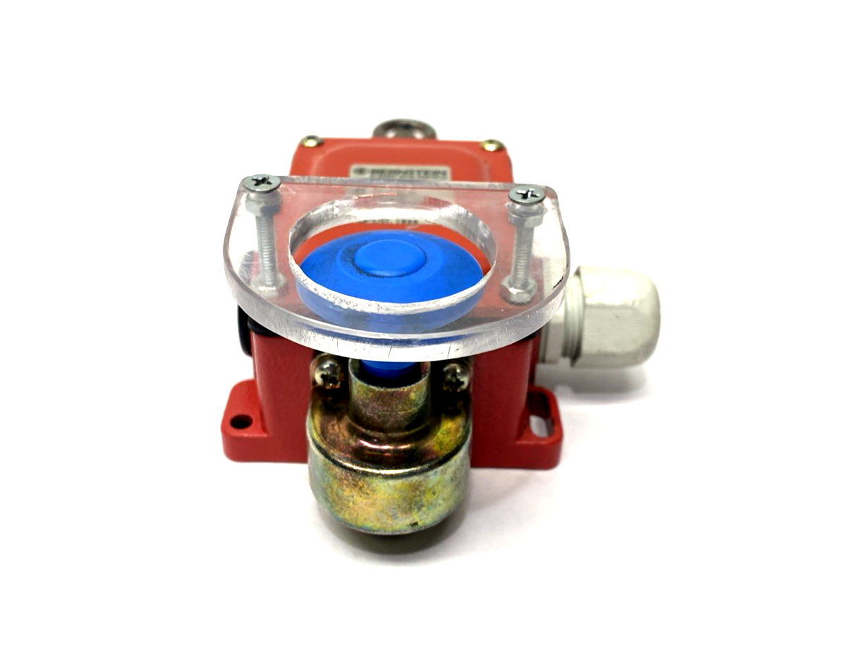 601.2441.907 | Bernstein SID-UV2Z P-RAST Rope Pull Switch w/Reset Button 240V 16A - Used - Maverick Industrial Sales
