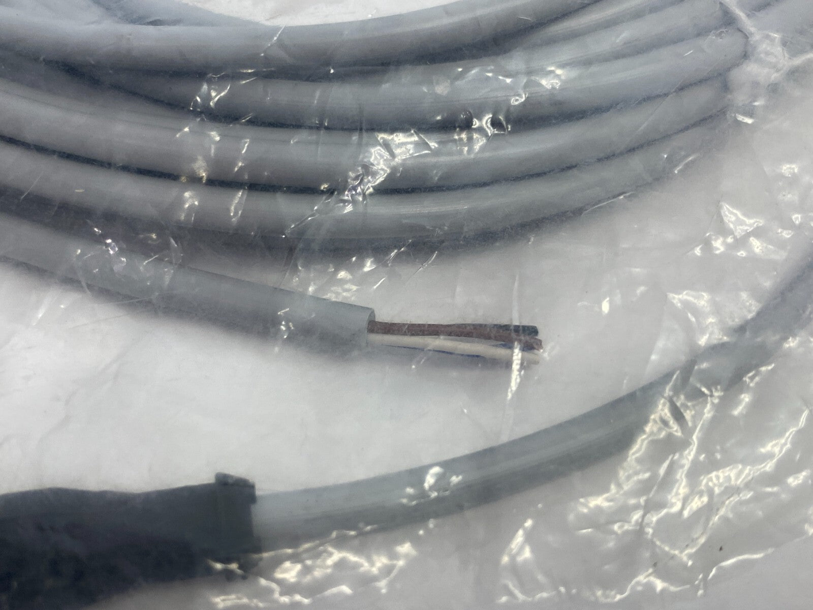 Murrelektronik 7000-12221-2141000 Single-Ended Cordset M12 Female - Maverick Industrial Sales