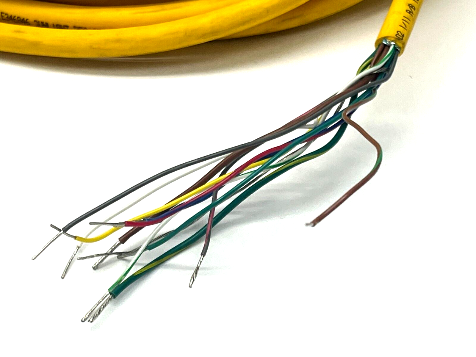 Turck CKWM 19-11-15 Cordset M23 Right Angle 19 Pin Female U-05923 - Maverick Industrial Sales