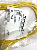 Turck PKW 4M-2-WS 4.4T Cordset U-20415 - Maverick Industrial Sales