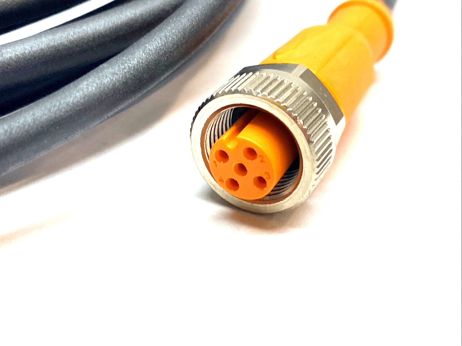 AD0GH050MSS0005K05 | IFM M12 Sensor Cable 5-Pin Female Shielded EVC5455 5m - New – Open box - Maverick Industrial Sales