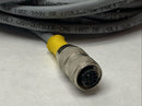 Turck RK 4.4T-6 Eurofast Cordset Female M12 4-Pin 6m U2177 - Maverick Industrial Sales