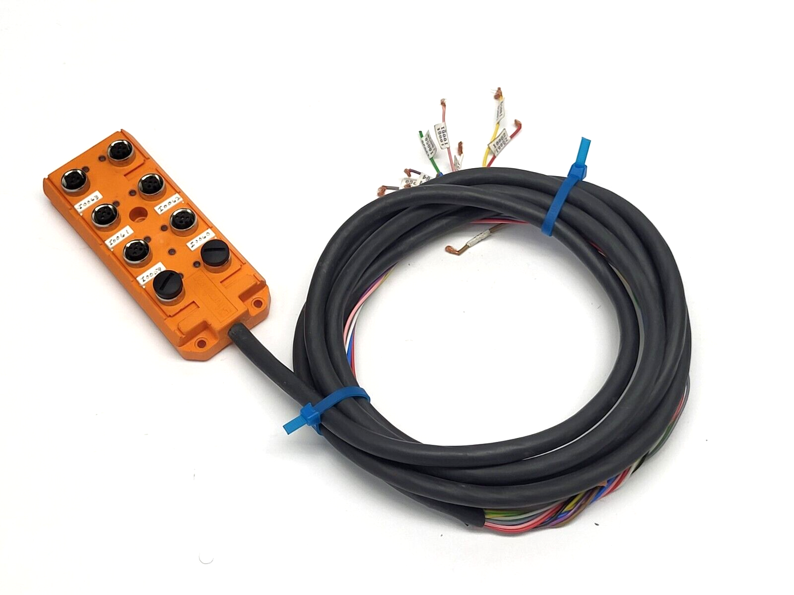Lumberg ASB 8 LED-5/4 8-Port Actuator Sensor Box 3m - Maverick Industrial Sales