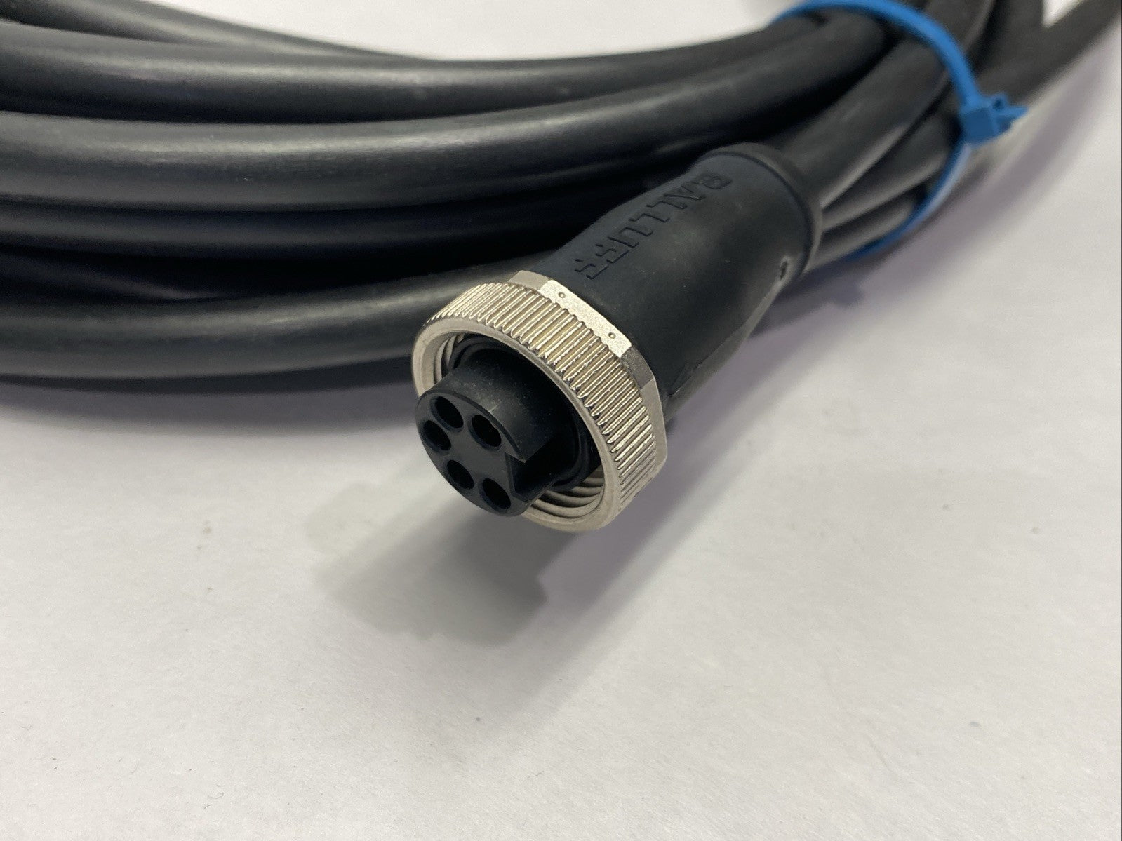 Balluff BCC06HF Cordset Female 7/8" 5-Pin BCC A315-0000-10-063-PX05A5-100 - Maverick Industrial Sales