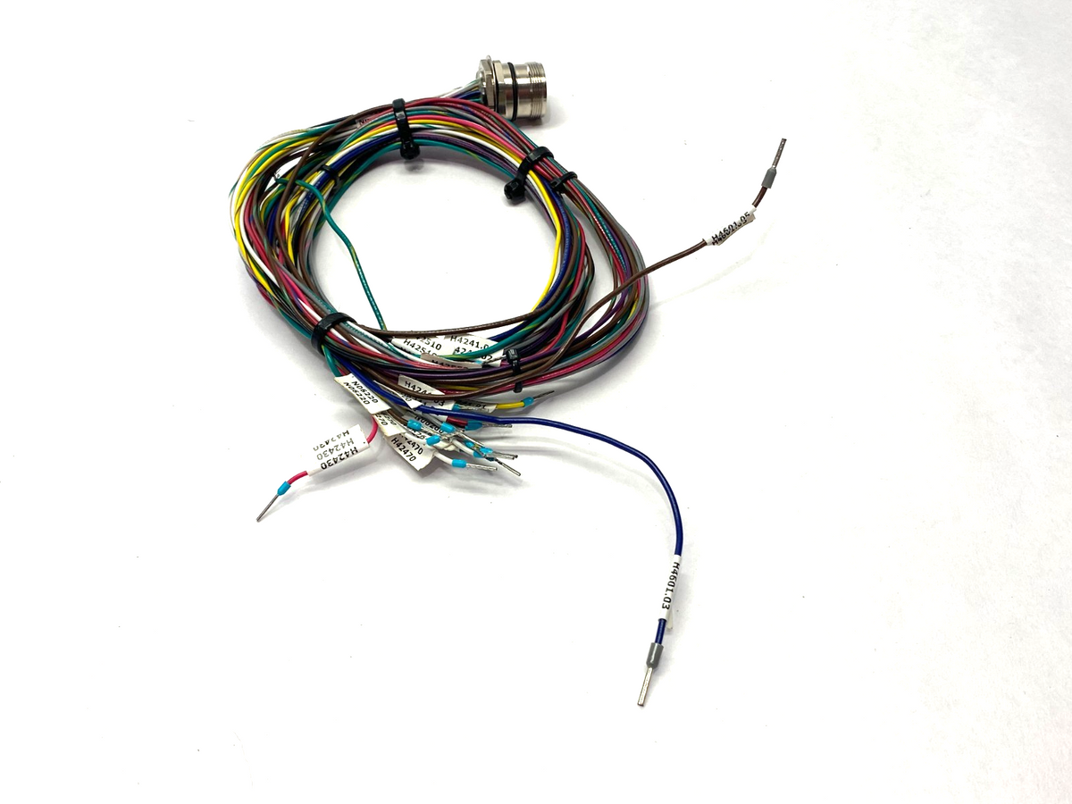 CSF 19-19-2 | Turck Actuator Sensor Receptacle Front-Mount Male M23 19-Pin U4564-6 - Used - Maverick Industrial Sales
