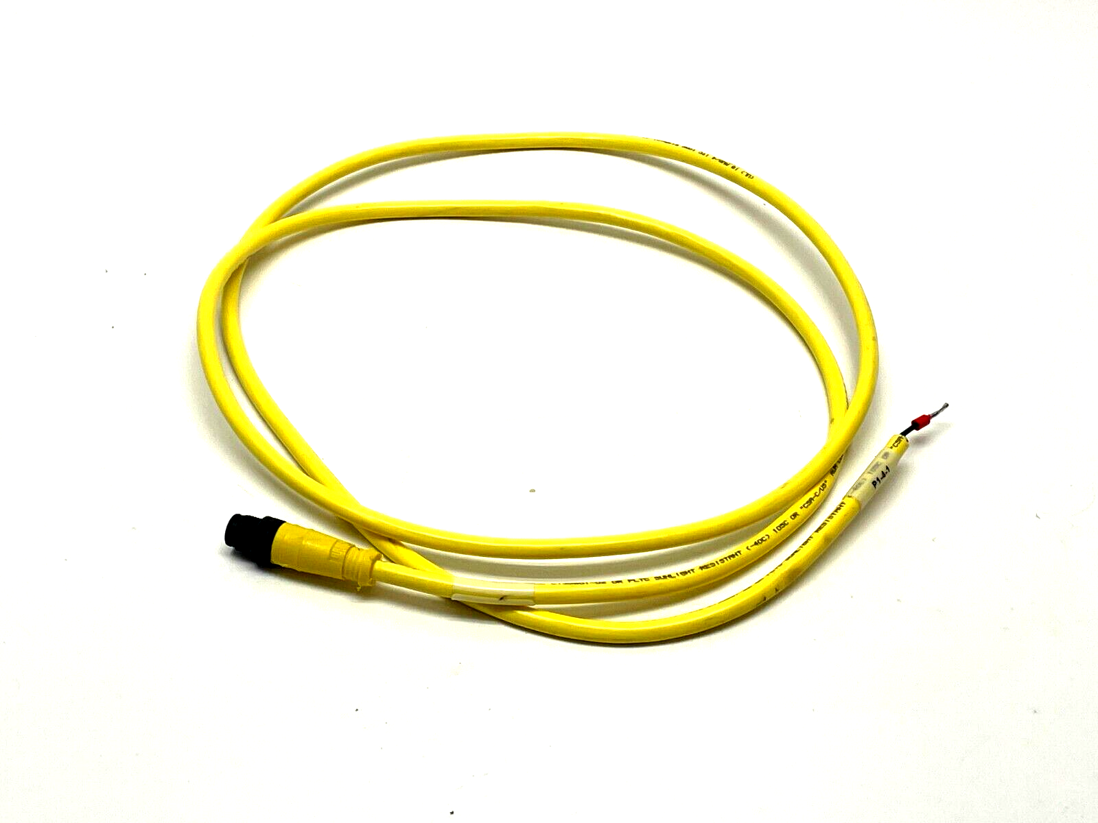 Brad Connectivity 1200668234 Single Ended Cordset 5ft Length - Maverick Industrial Sales